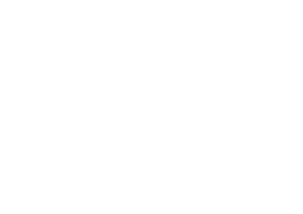 Hemp Construction